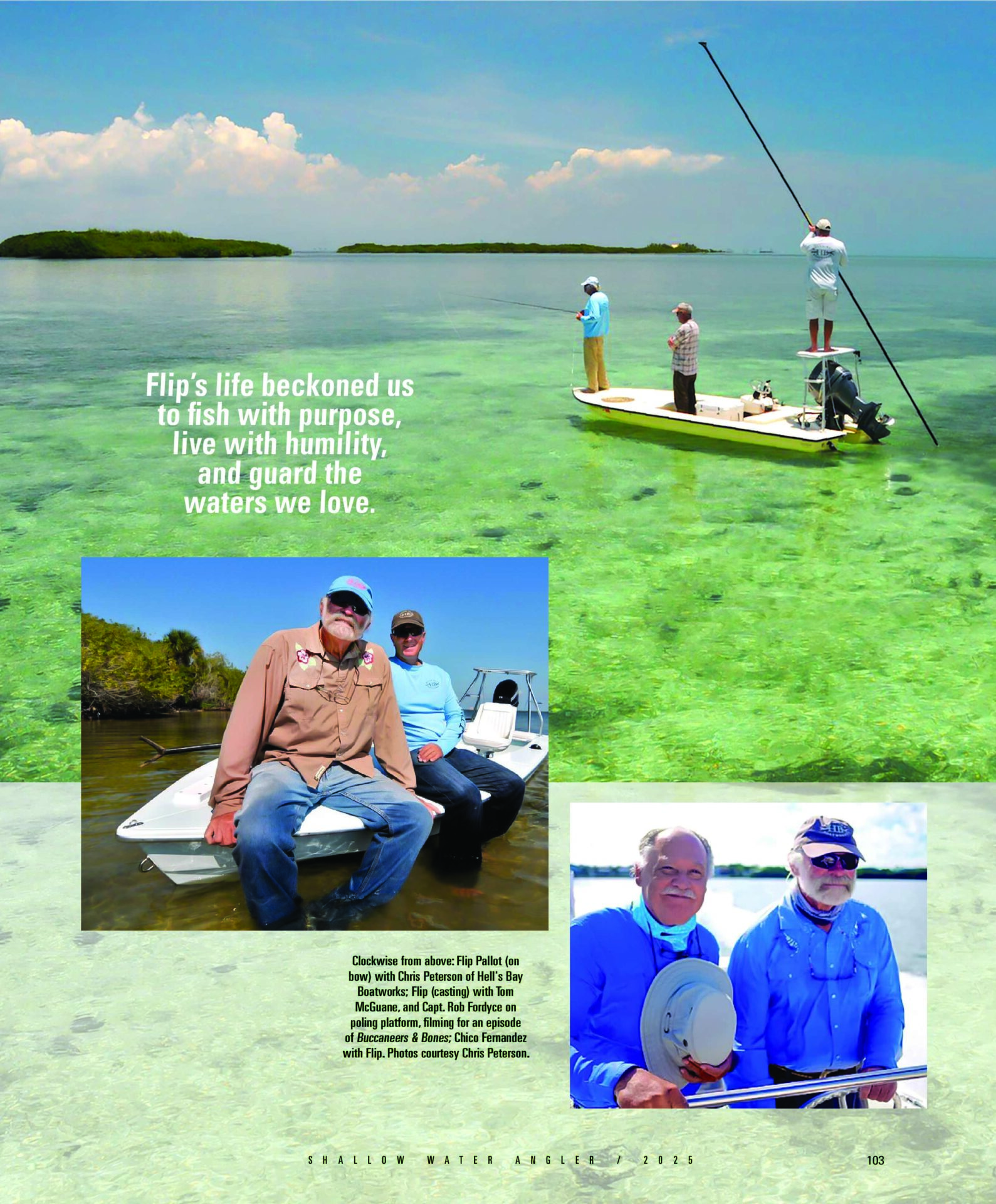 Flip Article page 2