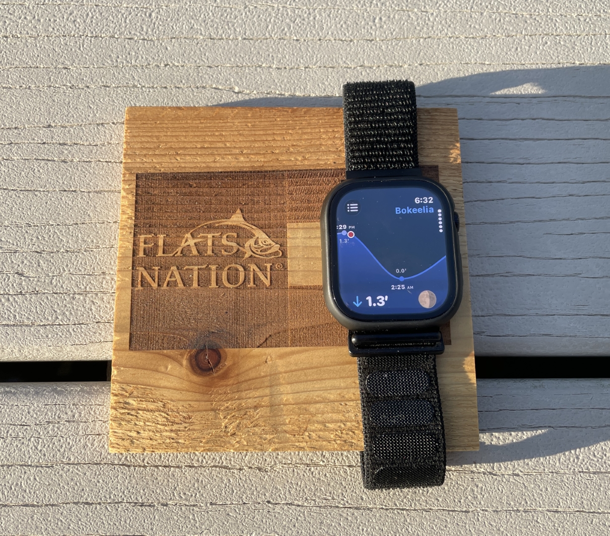 Tide expanded screen on the Apple Watch