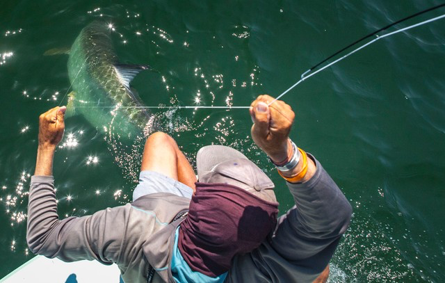 TARPON FISHING