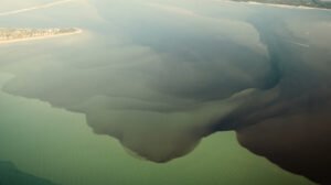 ocean water plume