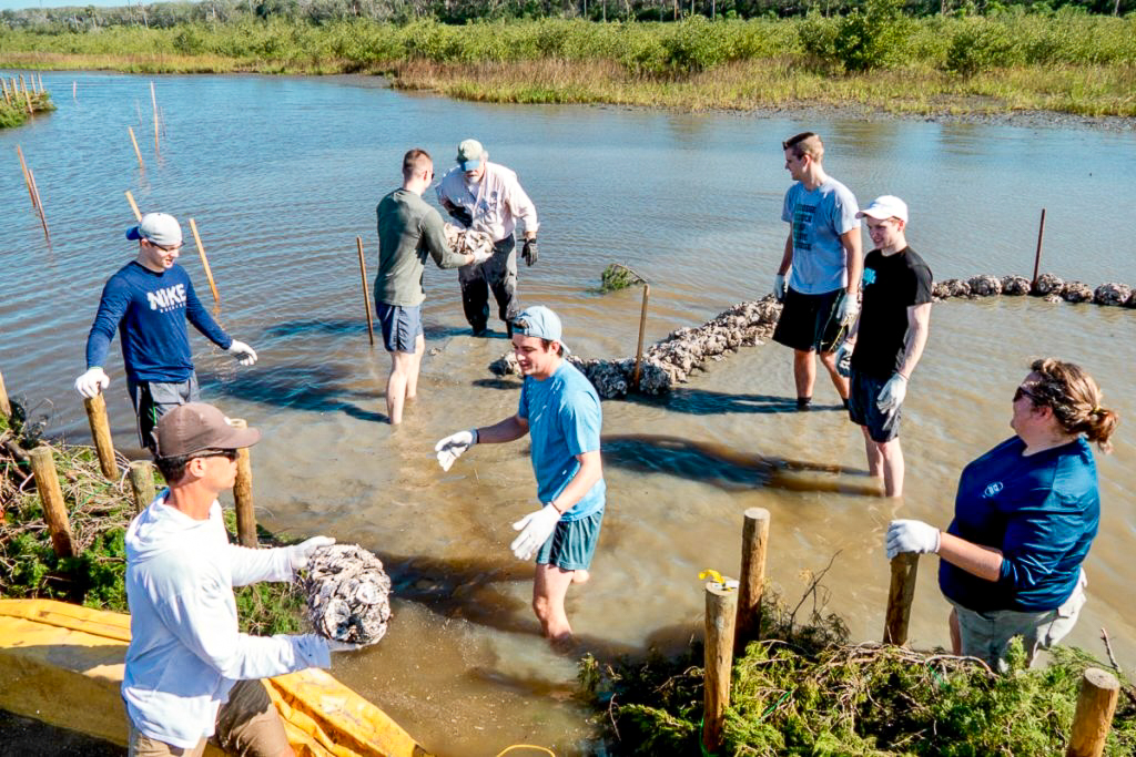 Volunteers build an oyster-shell reef in shallow coastal waters during a shoreline restoration project.